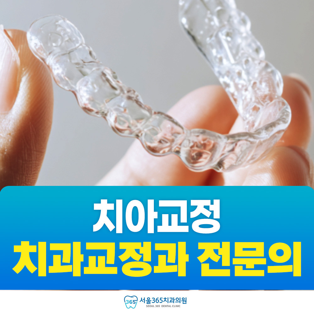 치과교정과 전문의가 있는 치과